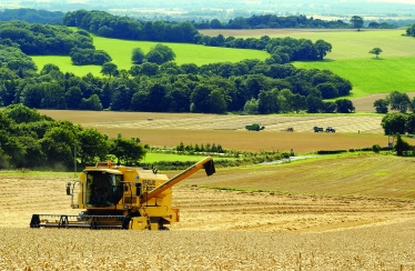 Rural Landscape 